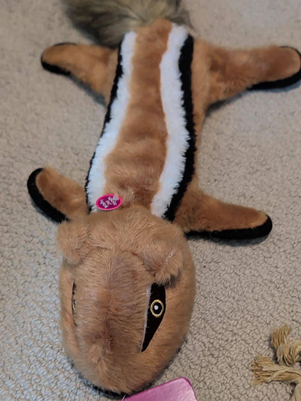 Dog Toy Bundle